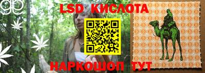 гидропоника Бузулук