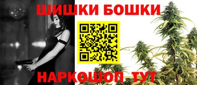 прущие крисы Будённовск