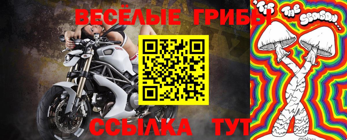 Галлюциногенные грибы Magic Shrooms  Вход с VPN  Магадан  Галлюциногенные грибы Magic Shrooms 